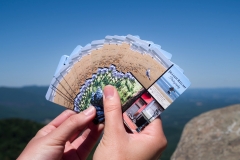 Playing-Cards-2